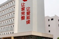 常德试管婴儿