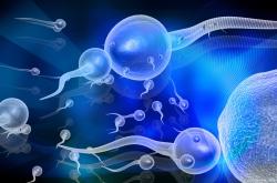 不知道的情况下怀孕了然后再治疗卵巢囊肿？治疗会影响胎儿发育？