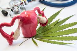 40岁amh值多少为卵巢早衰？卵巢早衰怎么调理？