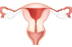 什么是子宫腺肌瘤症状表现？子宫腺肌瘤对怀孕有影响吗？